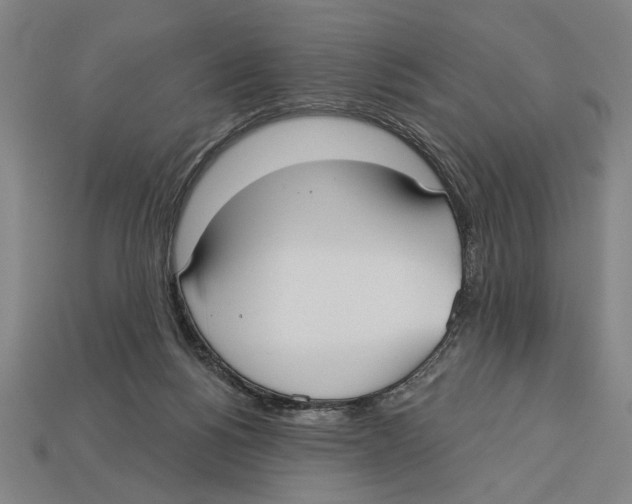 X0000113060168200909250916