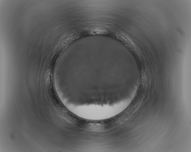 X0000113060169200909250916