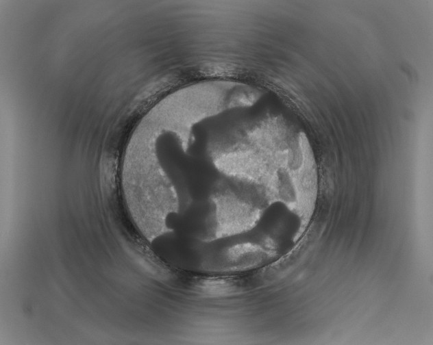 X0000113060171200909250916