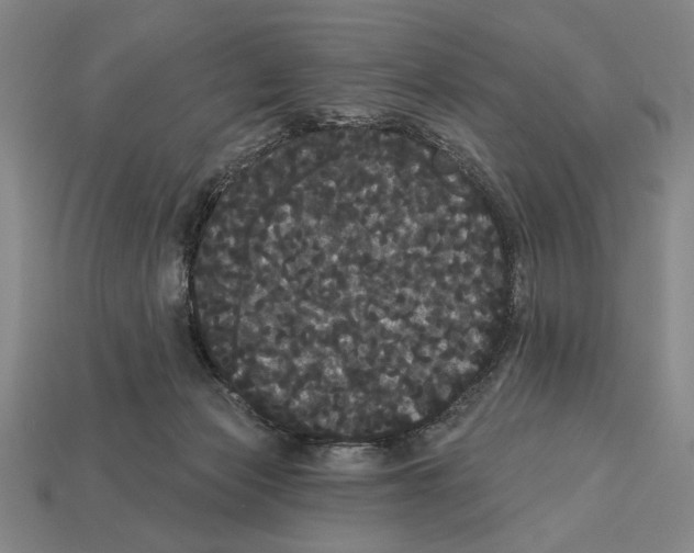 X0000113060173200909250916