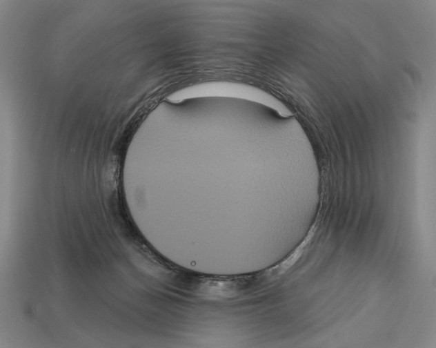 X0000113060174200909250916