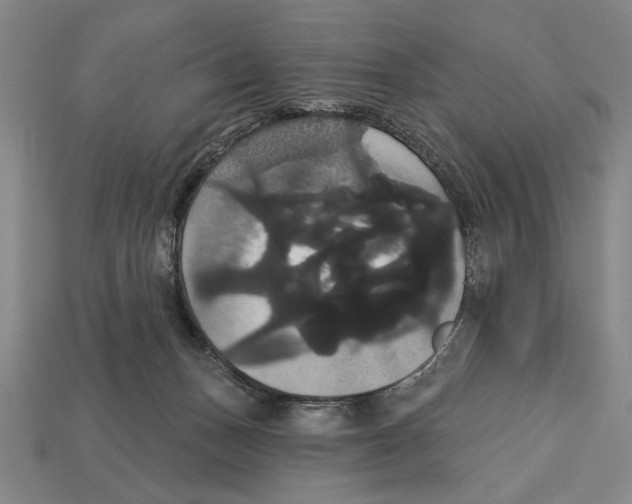 X0000113060175200909250916