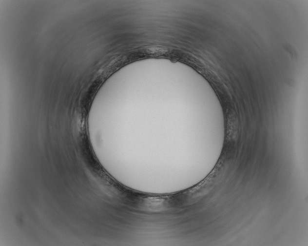 X0000113060176200909250916