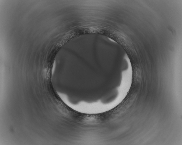 X0000113060177200909250916