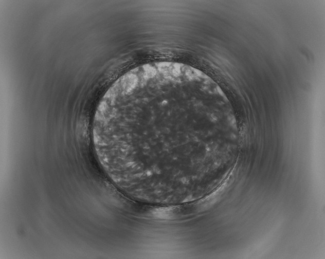 X0000113060178200909250916