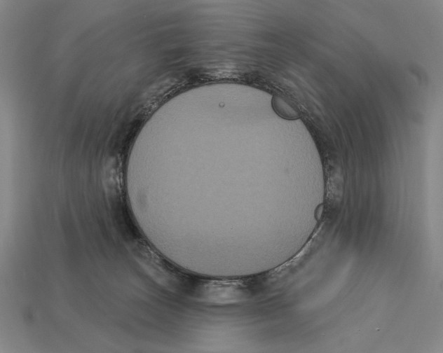 X0000113060179200909250916