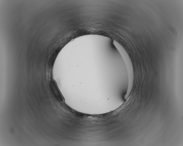 X0000113060180200909250916