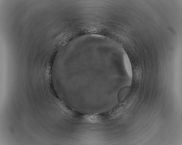 X0000113060181200909250916