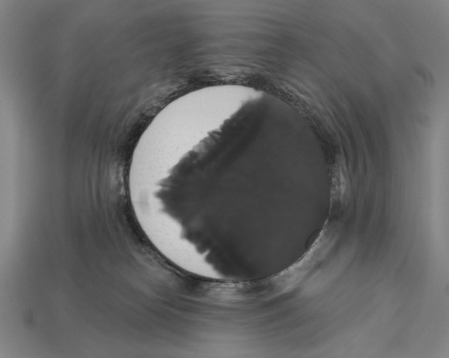 X0000113060182200909250916