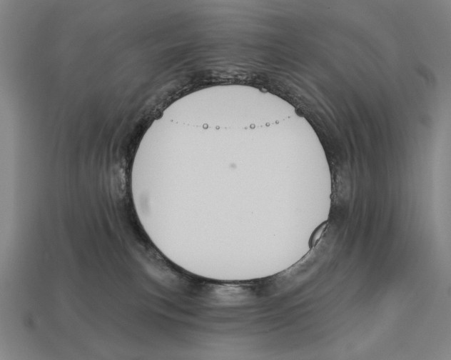 X0000113060183200909250916