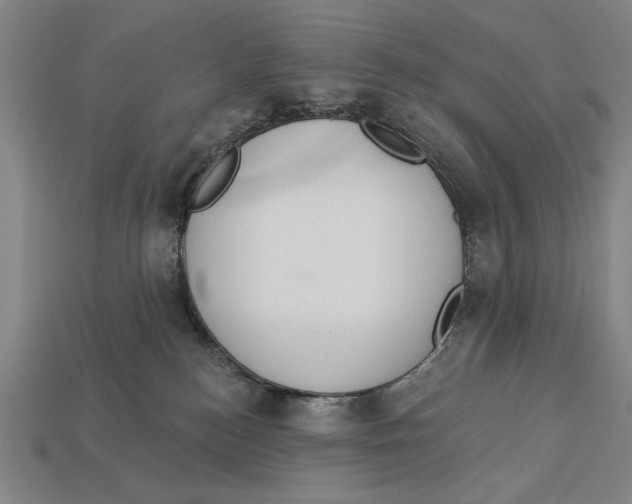 X0000113060184200909250916