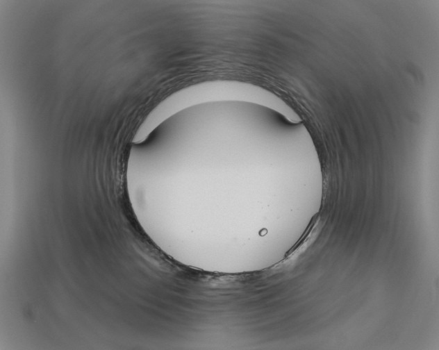 X0000113060186200909250916