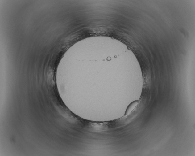 X0000113060187200909250916