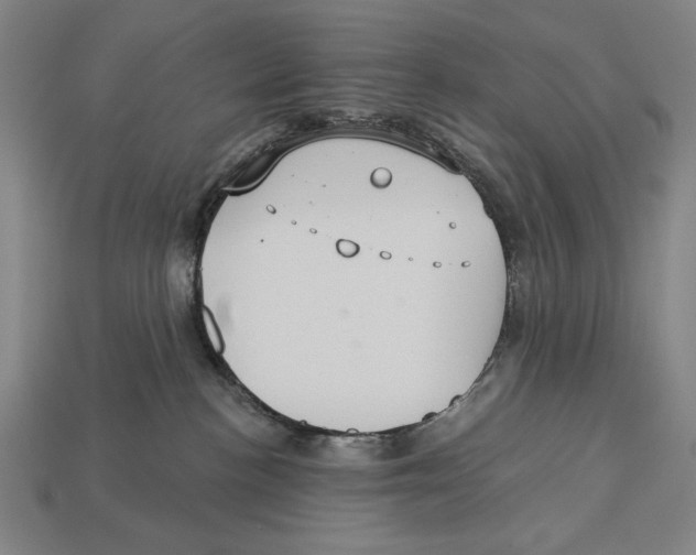 X0000113060188200909250916