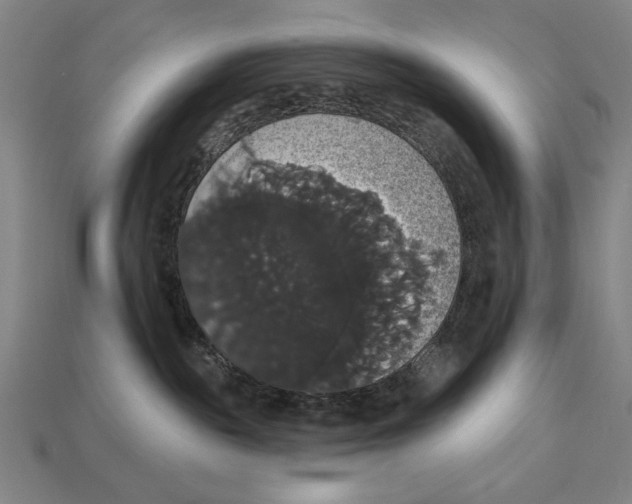 X0000113060189200909250916