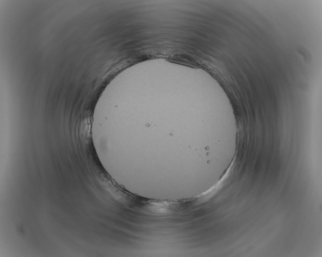 X0000113060190200909250916