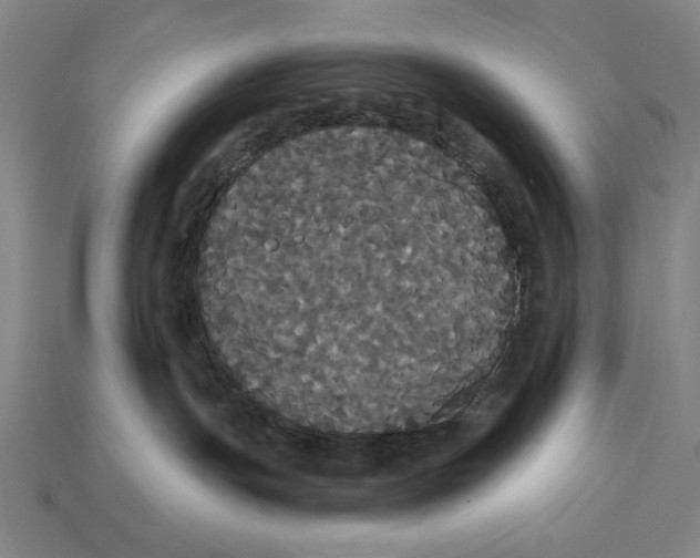 X0000113060191200909250916