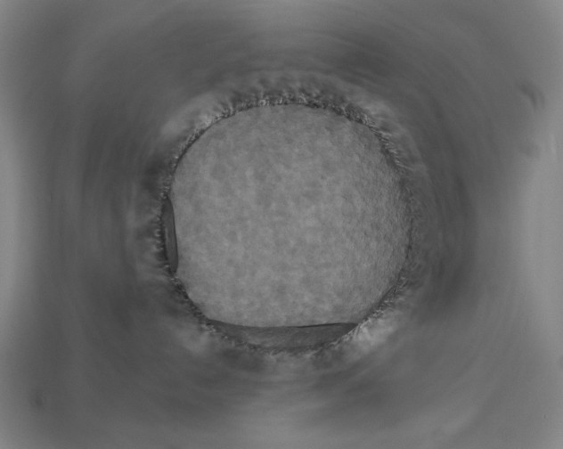 X0000113060192200909250916