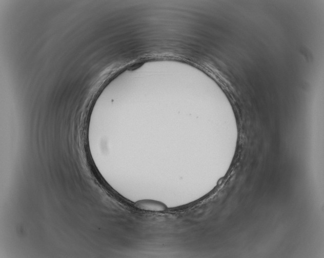 X0000113060193200909250915