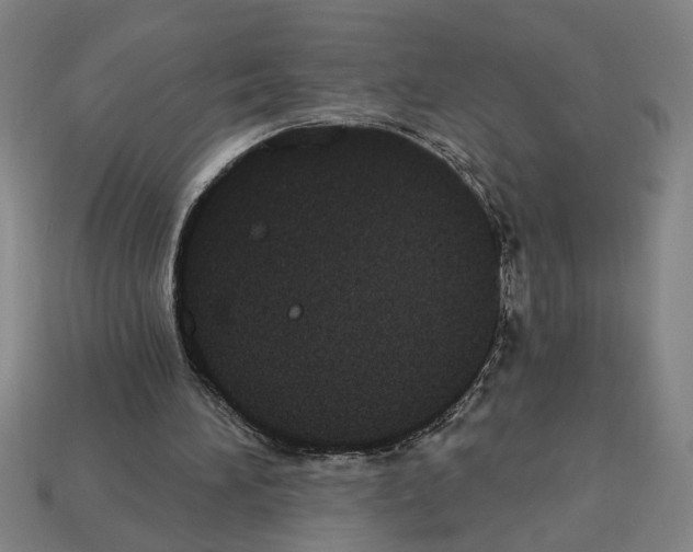 X0000113060196200909250915