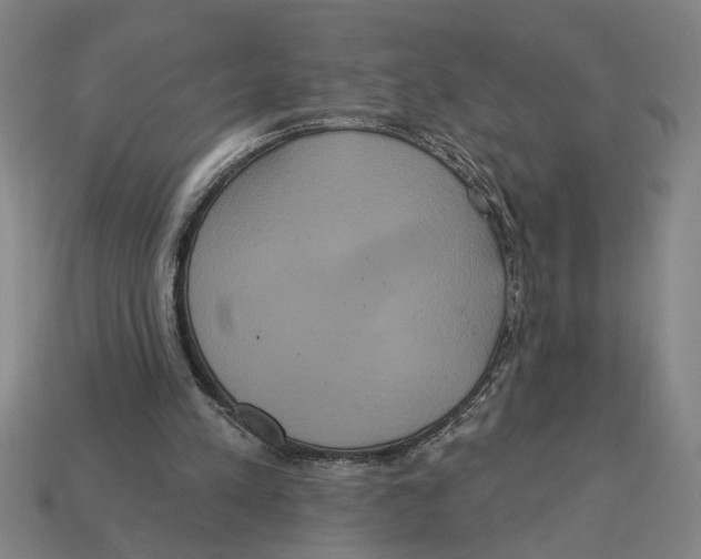 X0000113060197200909250915