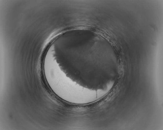 X0000113060198200909250915