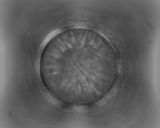 X0000113060199200909250915