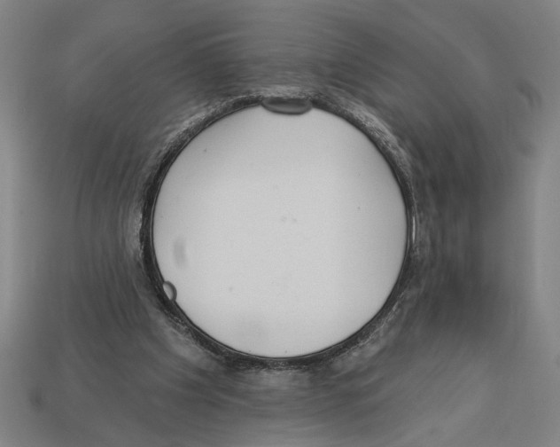 X0000113060201200909250915