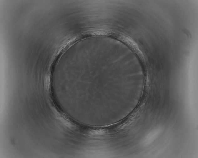 X0000113060202200909250915