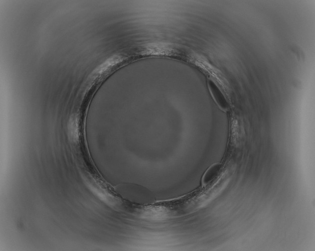 X0000113060203200909250915