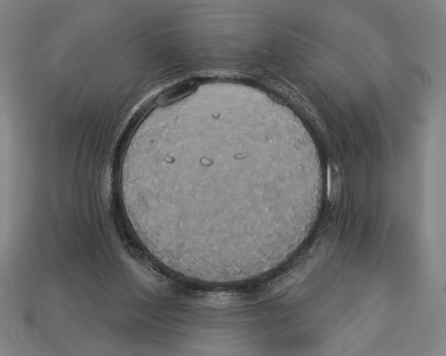 X0000113060204200909250915