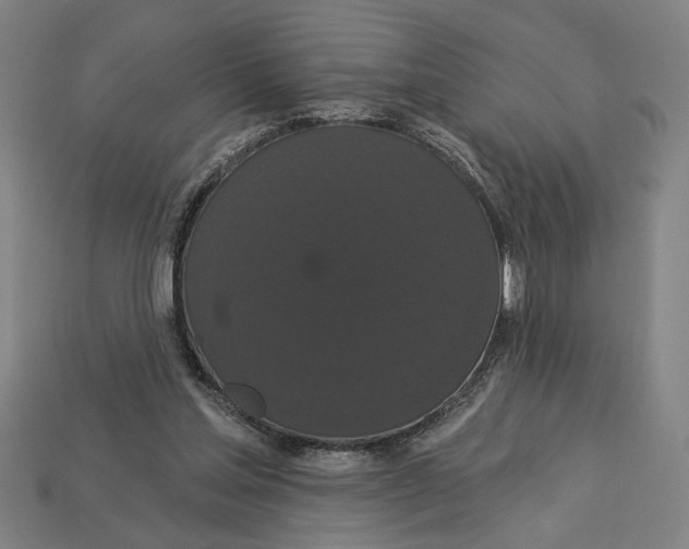 X0000113060205200909250915