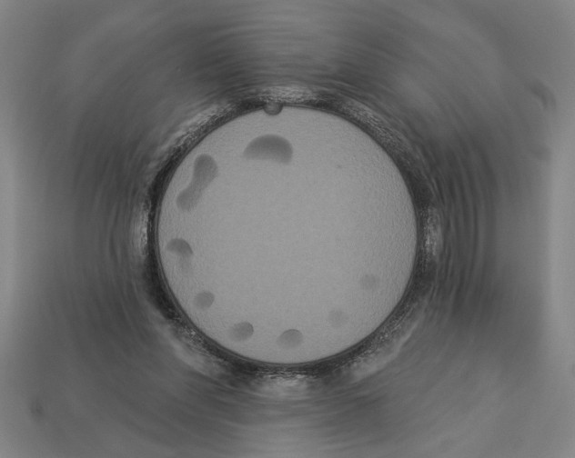 X0000113060206200909250915