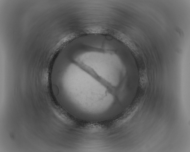 X0000113060207200909250915