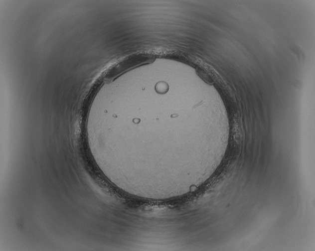 X0000113060208200909250915