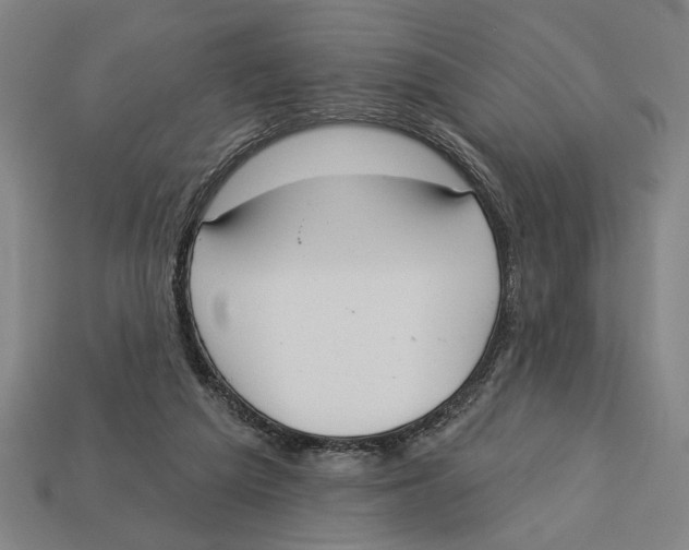 X0000113060209200909250915