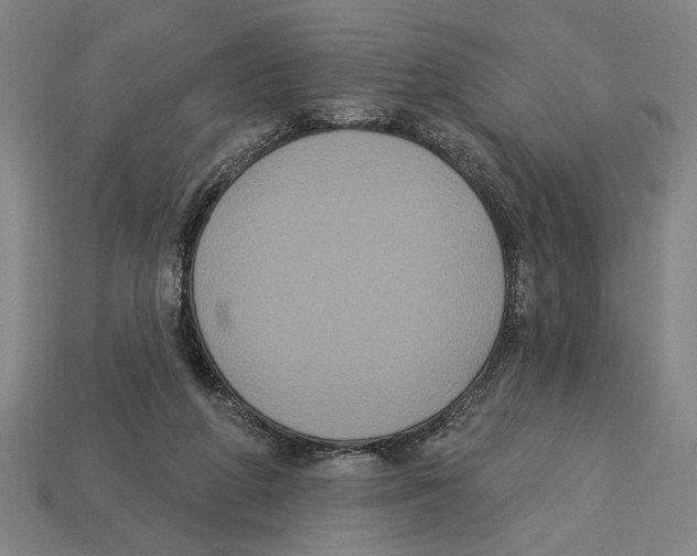 X0000113060210200909250915