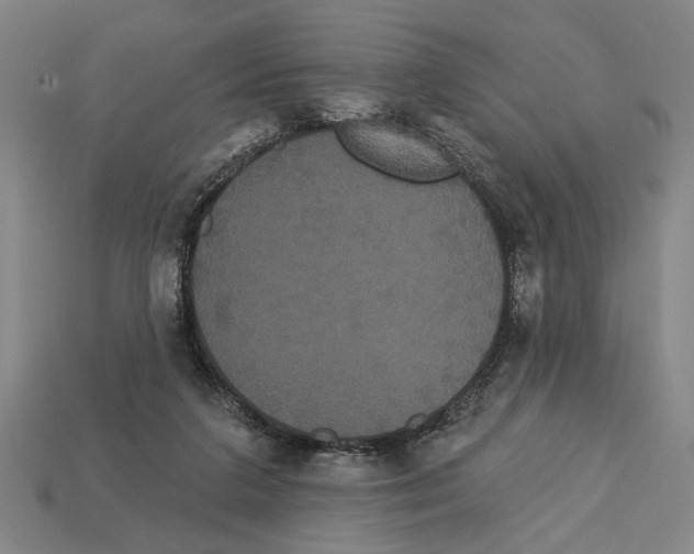 X0000113060211200909250915