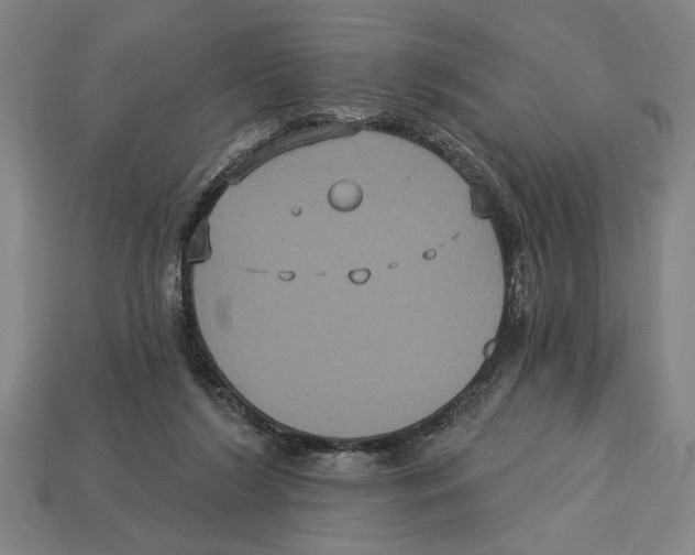 X0000113060212200909250915