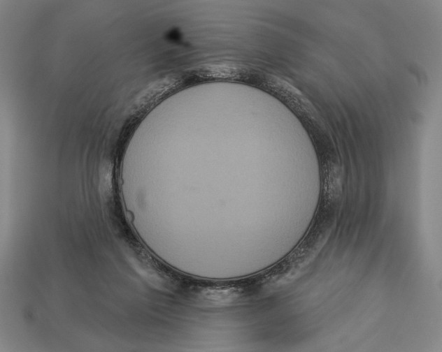 X0000113060213200909250915