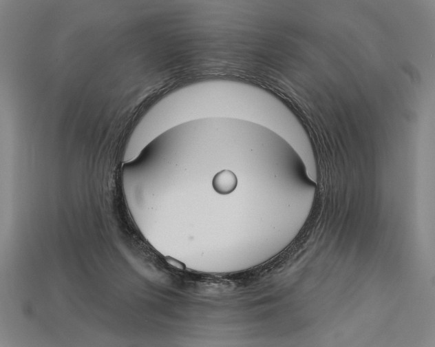 X0000113060215200909250915