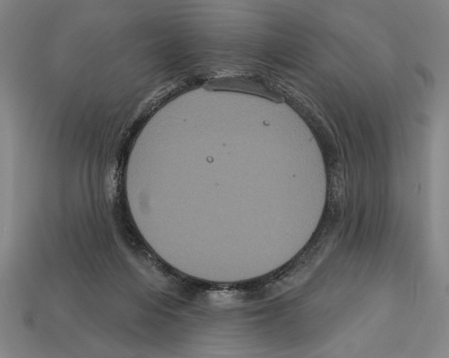 X0000113060216200909250915