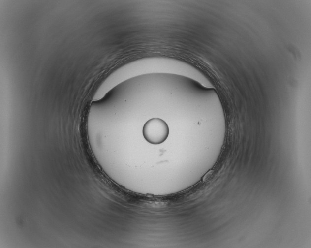 X0000113060217200909250915