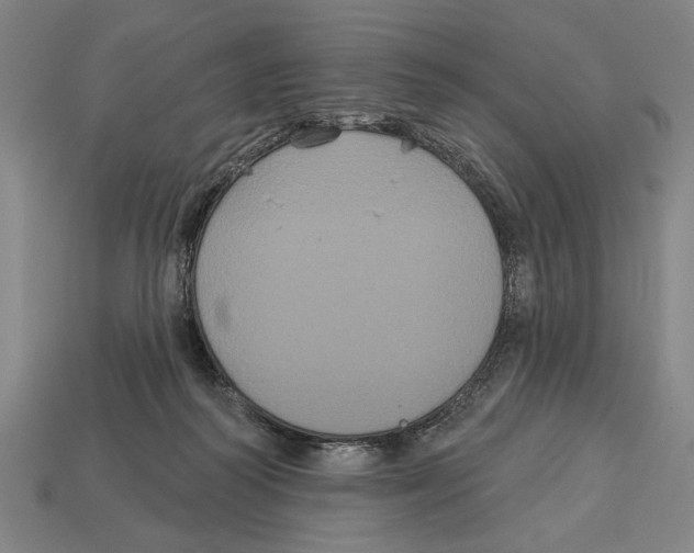 X0000113060218200909250915