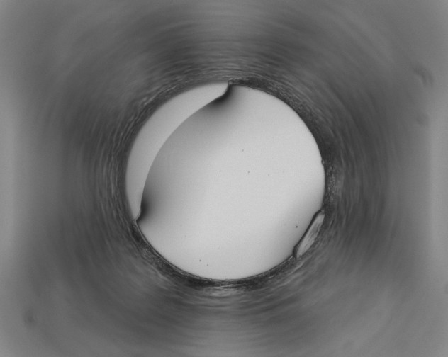 X0000113060219200909250915