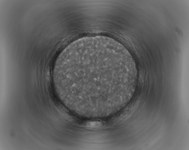 X0000113060220200909250915