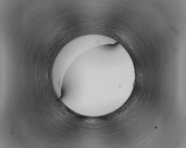 X0000113060221200909250915