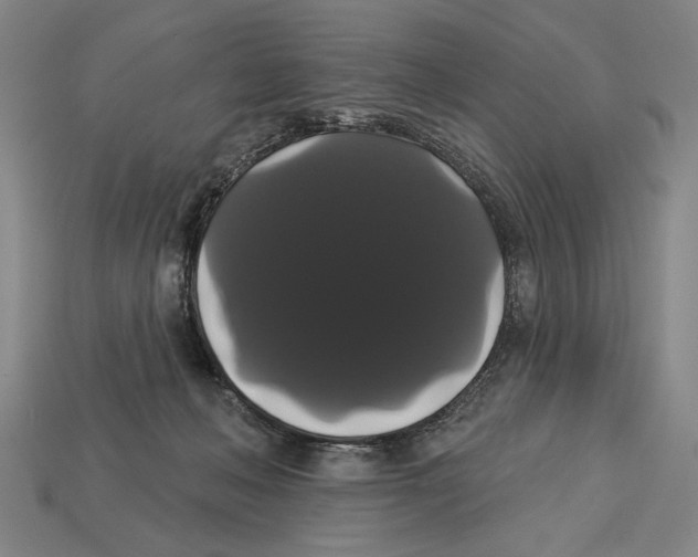 X0000113060222200909250915