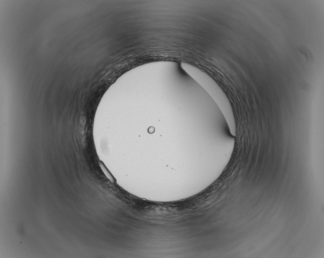 X0000113060223200909250915