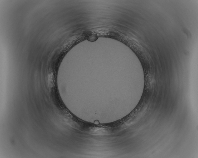 X0000113060224200909250915